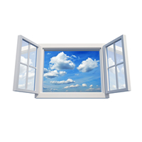 Window Types image